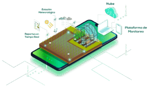 El Toque Smelpro: Soluciones que Entienden su Terreno