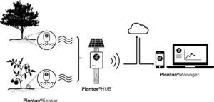 La Tecnología Detrás del Dato: Simple y Robusta