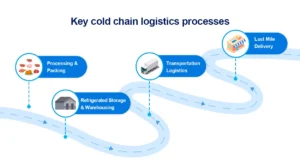 Arquitectura Técnica: Cómo funciona una Solución IoT de Grado Industrial