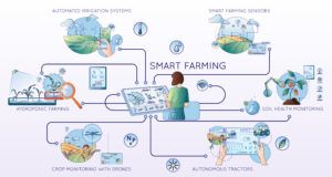 Sensores IoT de agricultura, monitoreo de cultivos y suelo