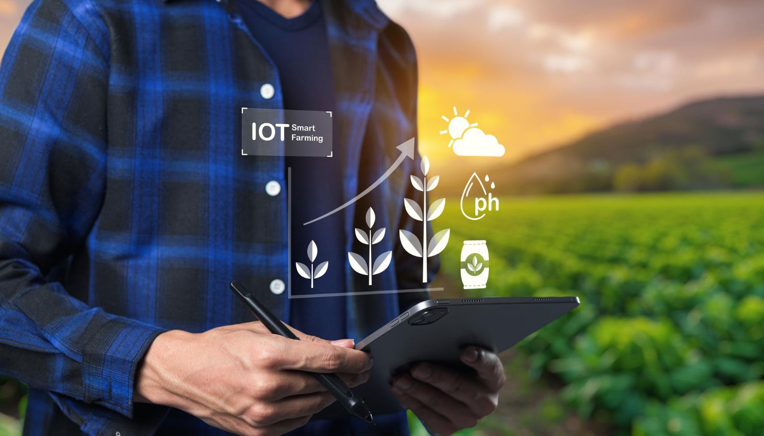 Como monitorear el suelo?