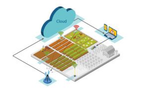 Sensores IoT de agricultura inteligente