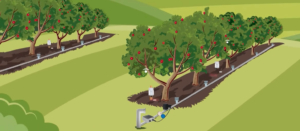 Sensores de Conductividad Eléctrica (CE) y pH