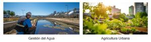Integracion IoT e IA : Gestión del Agua y Agricultura Urbana