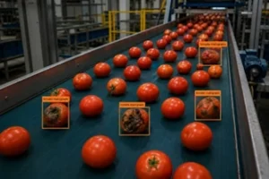 Inspección de calidad con IA