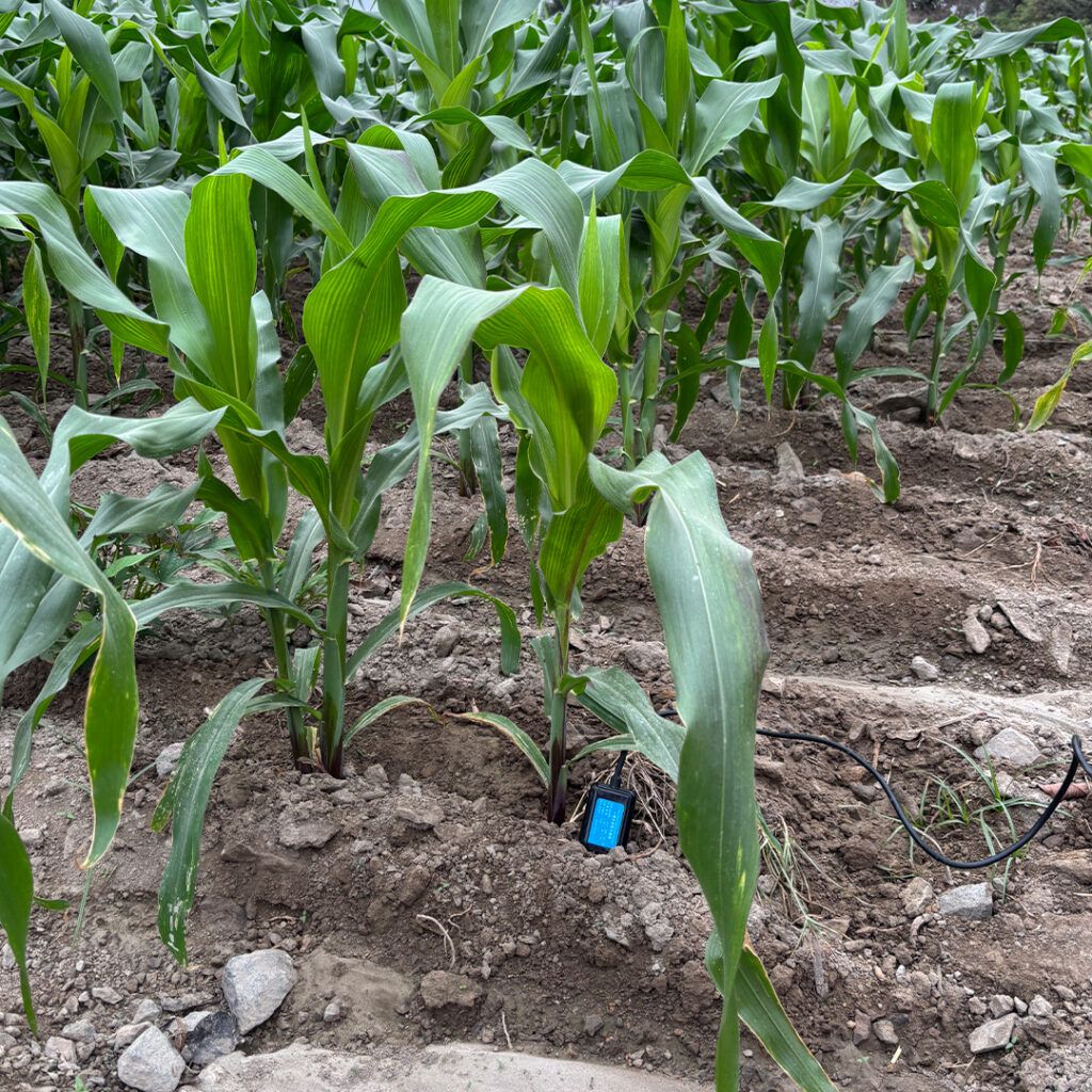 Control Inteligente de Riego mediante IoT en el Sector Agrícola